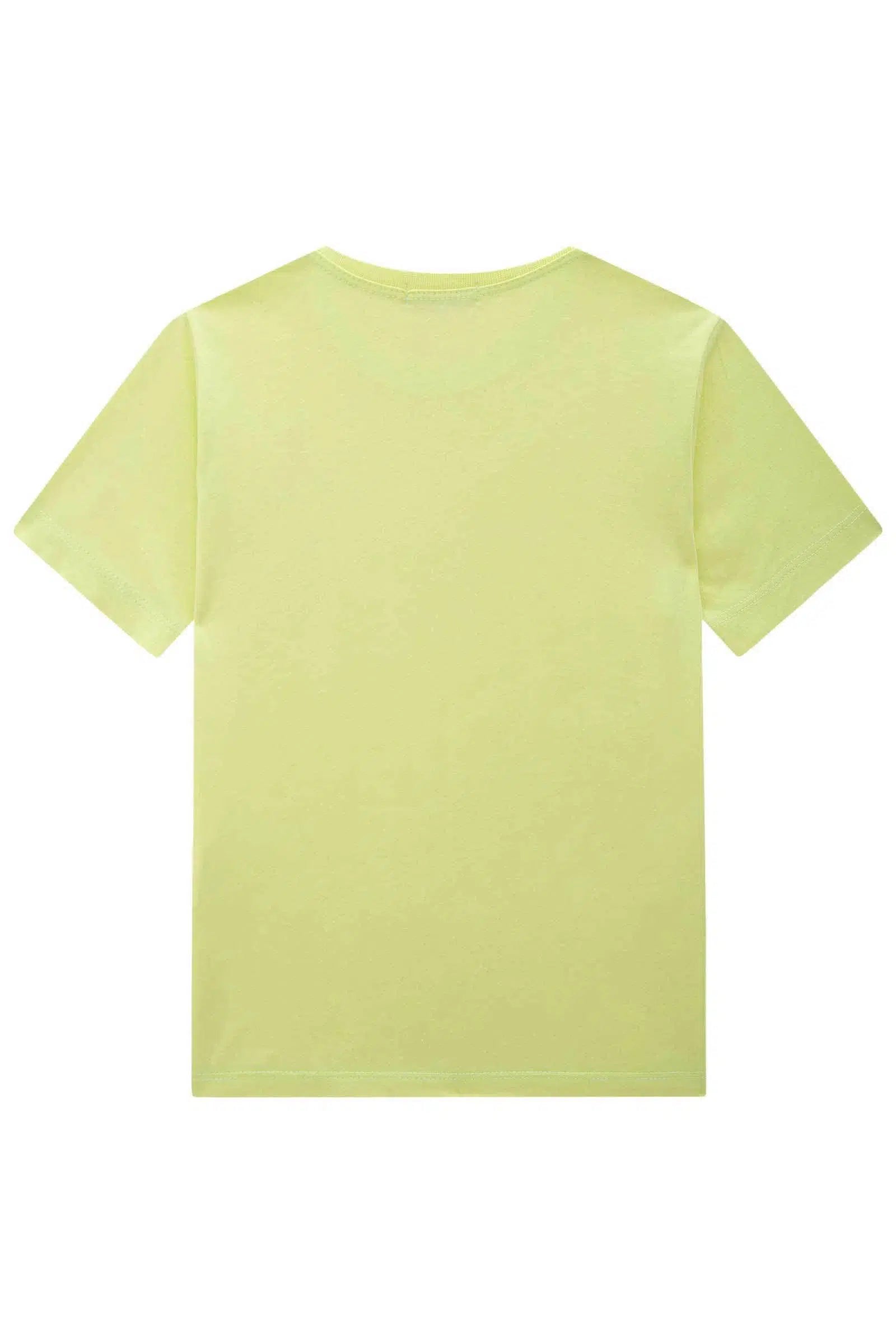 Camiseta Infantil Menino em Meia Malha 81390 LucBoo